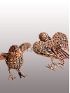 Filigree sitting bird